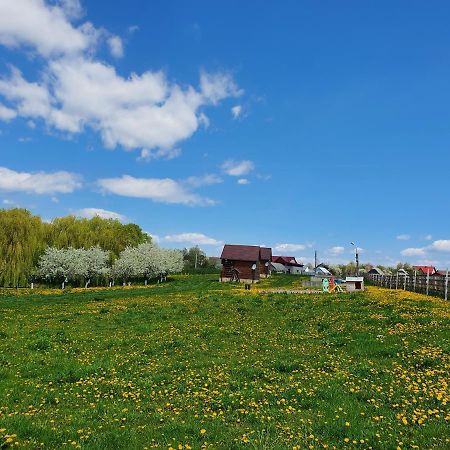 Hotel Popas Todiresti - La Iazul Cu 5 Casute Sučava Exteriér fotografie